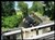 th, BG 2018-16, Kinda Kanal 2 juni, 036.jpg